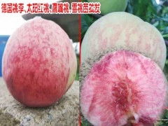 云南雪桃多少錢一個(gè)?圖1