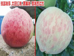 風(fēng)花雪月大理桃花開(kāi)了_圖2
