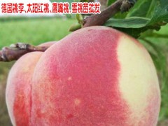 風(fēng)花雪月大理桃花開(kāi)了_圖3