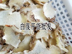 白芨的塊莖價(jià)格_白芨塊莖市場(chǎng)價(jià)格_白芨塊莖種苗價(jià)格圖1