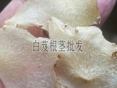 小白芨干貨多少錢一斤?_白芨干貨多少錢一斤圖1