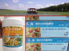適合云南大理糧食、蔬菜、瓜果種植戶使用的禾唐含腐植酸液體肥料圖3