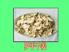 云南羅平地區(qū)/云南羅平生姜價格圖1
