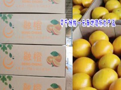 華寧柑桔_柑桔專(zhuān)業(yè)合作社-圖2