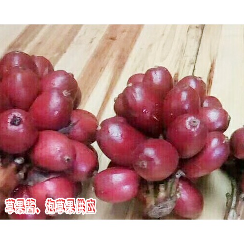 草果醬、泡草果圖片