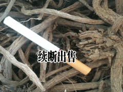 續(xù)斷的種植_續(xù)斷的病蟲防治案例圖1