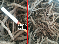 續(xù)斷的種植_續(xù)斷的病蟲防治案例圖3