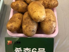 七彩云南，七彩土豆，云南廣匯種植有限公司圖1