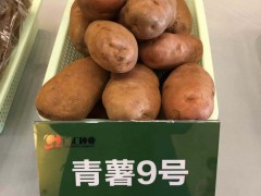 七彩云南，七彩土豆，云南廣匯種植有限公司圖2