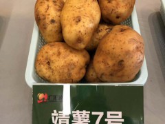七彩云南，七彩土豆，云南廣匯種植有限公司圖3