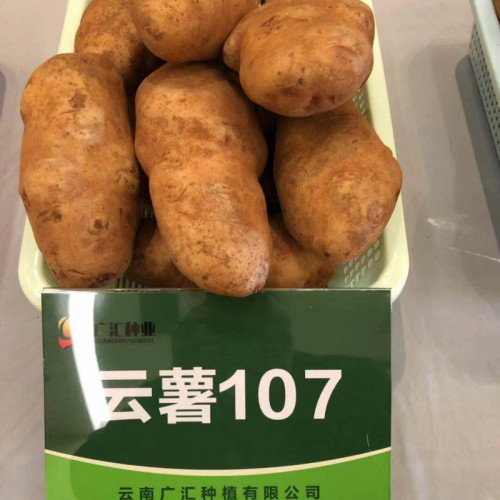 馬鈴薯、花卉、蔬菜、水果種植銷售