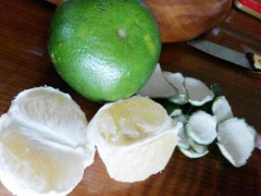 2018臺(tái)灣四季青柚苗批發(fā)價(jià)格＆哪里買四季青柚苗正宗圖3