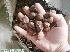 越南、紅河和文山草果產(chǎn)區(qū)量有多少?圖1