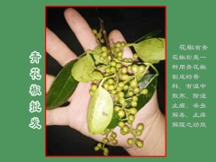 青花椒每畝收入在多少?_青花椒價(jià)格免費(fèi)咨詢圖1