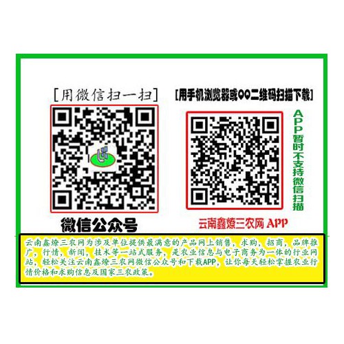 西雙版納原始森林和普洱市太陽河蜂蜜主產區(qū)信息