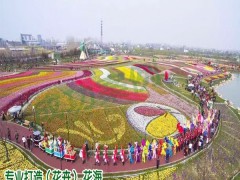 哪些品種花卉價格高_免費設(shè)計圖2