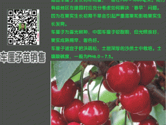 車?yán)遄訕涿绲姆敝撤椒▓D1