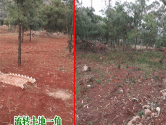昆明城邊農(nóng)用土地多少錢一畝?(統(tǒng)計(jì)表)圖1