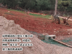 昆明新土地價格_2019昆明土地價格表圖3