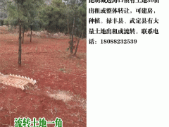 昆明新土地價格_2019昆明土地價格表圖2