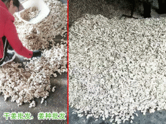干姜倉儲干姜絲在哪批發(fā)_云南干姜絲怎么批發(fā)%亳州干姜批發(fā)圖2