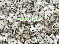 版納生姜批發(fā)&廣州干姜批發(fā)_批發(fā)云南羅平無硫干姜塊圖1