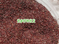 黨參種子種植方法_云南黨參種子價(jià)格圖2