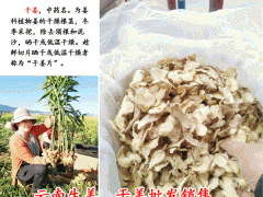 生姜的栽培條件_云南干姜今日行情走勢(shì)圖3