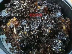 云南樹酸蜂蜜_純樹酸蜂蜜_景洪樹酸蜂蜜_蜂蜜_酸蜜圖1