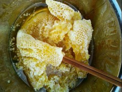 簡介：
