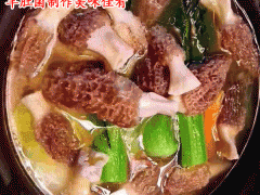 羊肚菌的功效_羊肚菌的營養(yǎng)價值圖2