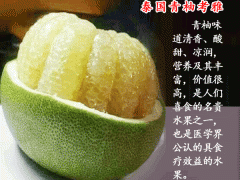 泰國青柚為什么那么貴?_中國哪里種植泰國青柚圖1