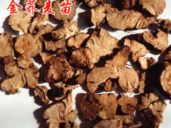 金蕎麥種植多久可以收?哪里有種苗銷售圖3