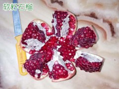軟籽石榴種植賺錢嗎？圖3