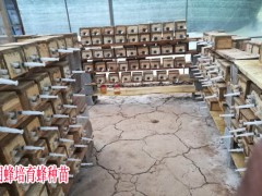 2019年4月28日云南,廣西胡蜂多少一斤,價(jià)格行情動(dòng)態(tài)圖3