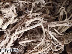白芷2019年新消息市場行情行情剖析圖1