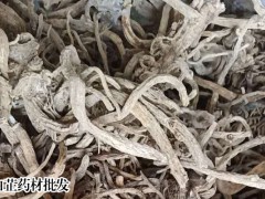 白芷2019年新消息市場行情行情剖析圖2