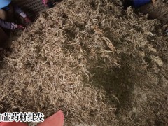 白芷2019年新消息市場行情行情剖析圖3
