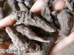 草烏多少錢一斤?2018年草烏價格會上漲嗎?草烏價格走勢如何圖3