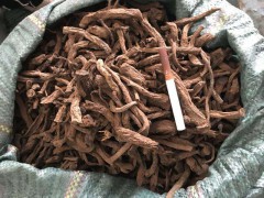 大黃的產(chǎn)區(qū)價(jià)格是多少?竹葉防風(fēng)、草血竭、馬蹄香圖3