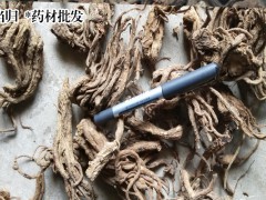 安國藥市當(dāng)歸藥廠貨行情(附當(dāng)歸種植銷售公司信息)圖3