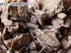 安國藥市當(dāng)歸行情 亳州藥市當(dāng)歸行情  安國藥市當(dāng)歸藥廠貨行情圖2