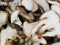 中藥材佛手多少錢一斤?_保山佛手公司圖1