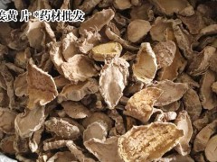 姜黃種植前景怎樣？圖2