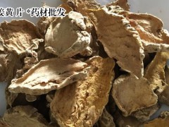 姜黃種植前景怎樣？圖3