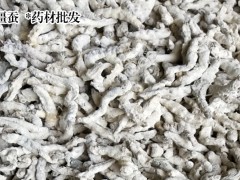 僵蠶價(jià)格行情_僵蠶多少錢圖2