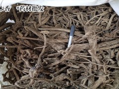 木香的價錢是多少錢一斤?圖1