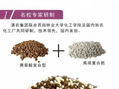 白芨藥材專用肥,白及藥材肥圖片,白芨用什么肥比較好,參考圖片圖1