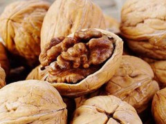 核桃苗圃*核桃苗昆明銷售\信息*核桃苗木價(jià)格圖3
