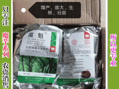 魔芋魔魁特點：膨大、抗病、增產(chǎn)、抗旱、生根、壯苗圖1